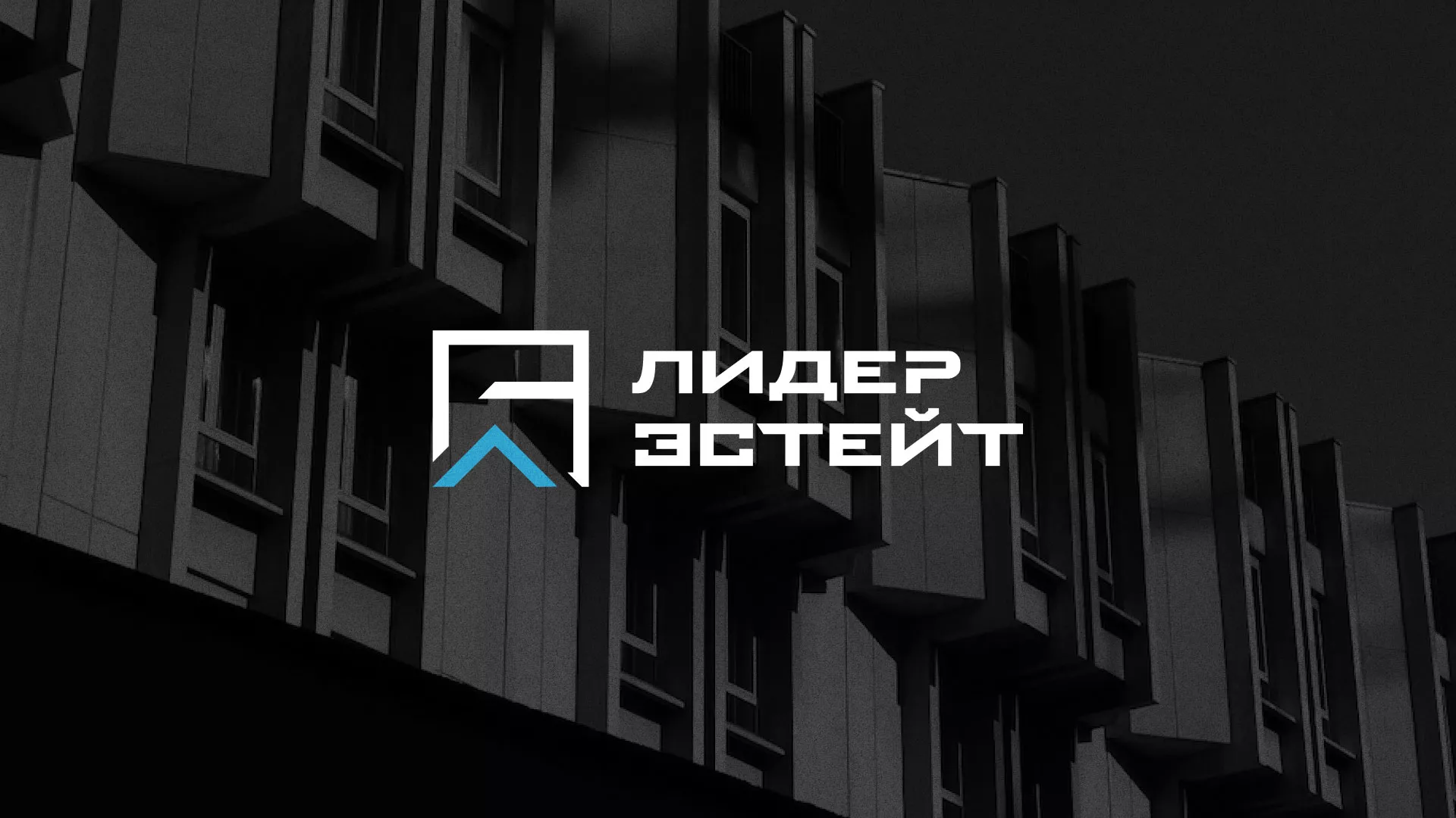 Разработка логотипа агентства недвижимости «Лидер Эстейт» в Усолье